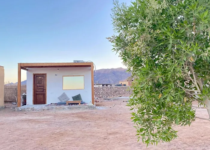 New Droub Camp